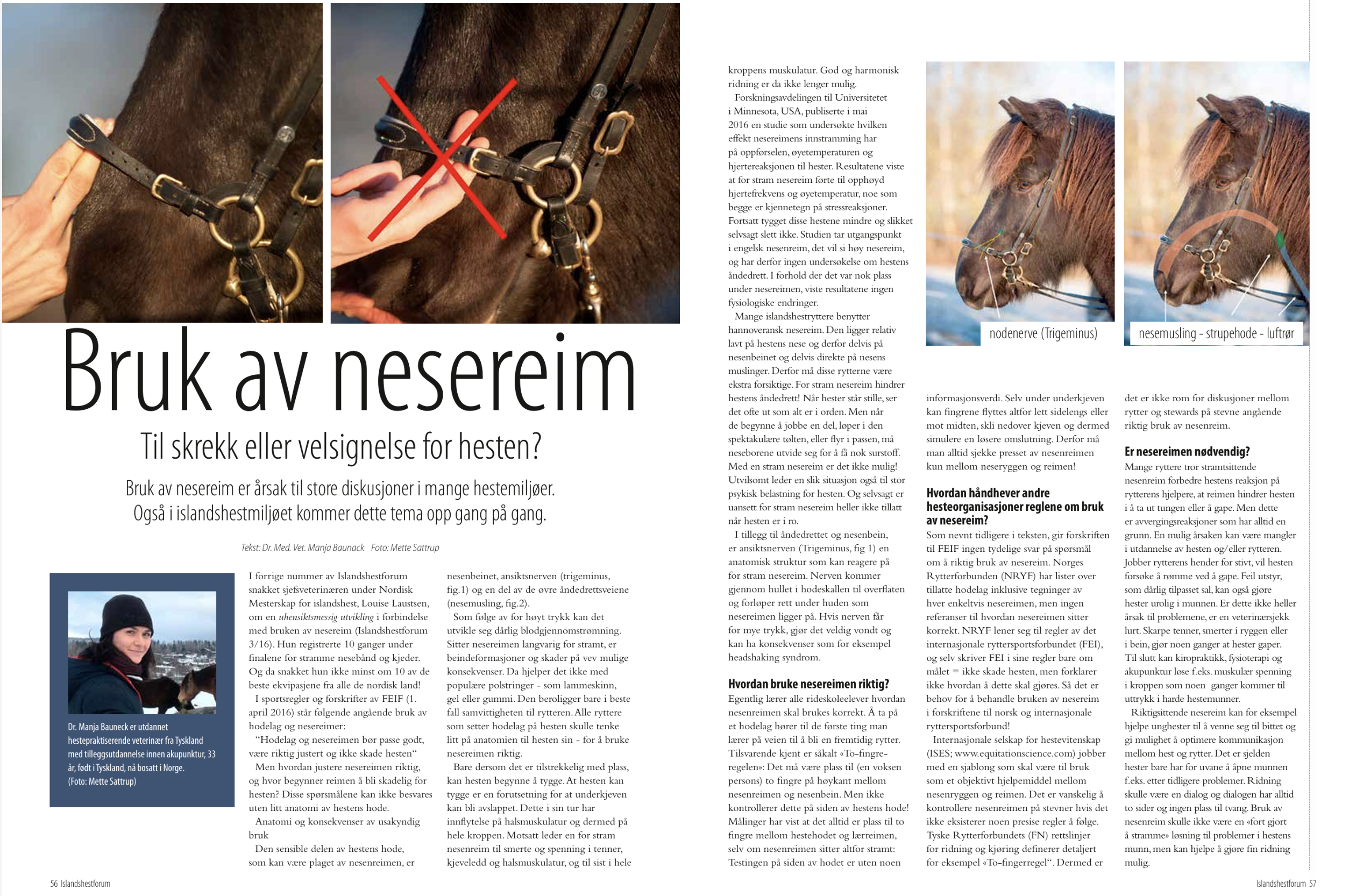 Magazine spread about noseband use in horses.